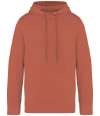 NS416 Native Spirit Unisex Terry 280 Hoodie washed pomelo colour image